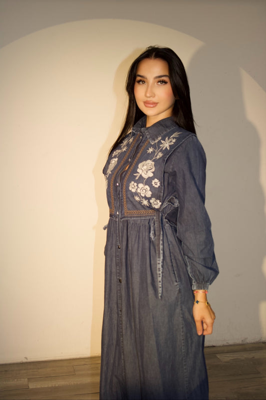 Dahlia Denim Dress